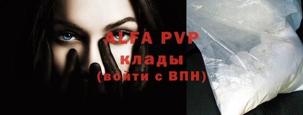 сатива Няндома