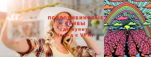 гидра Нязепетровск