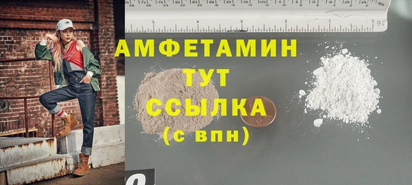 сатива Няндома